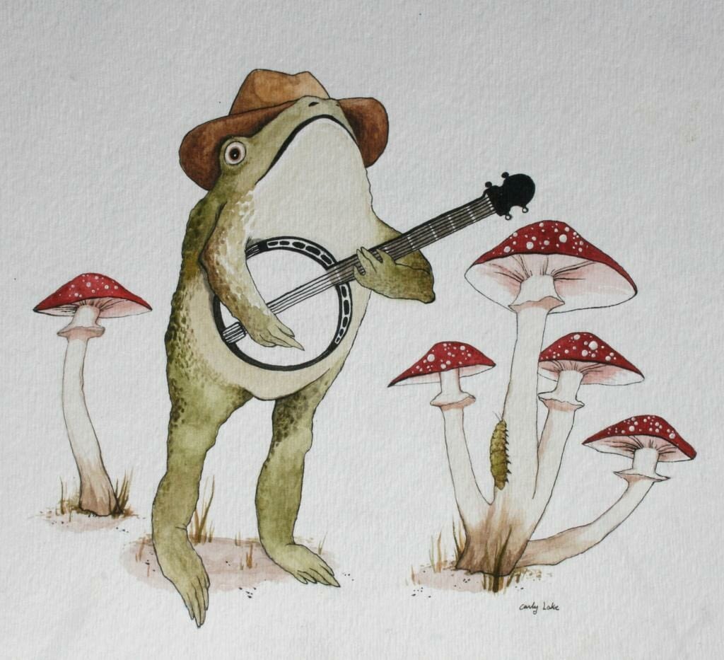Illustration of a toad playing a banjo by Carly Lake